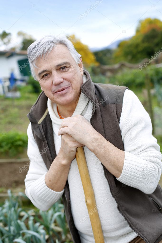 Senior man cultivating vegetables in kitchen garden