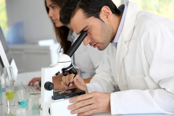 Доктор биологии, работающий над микроскопом — стоковое фото