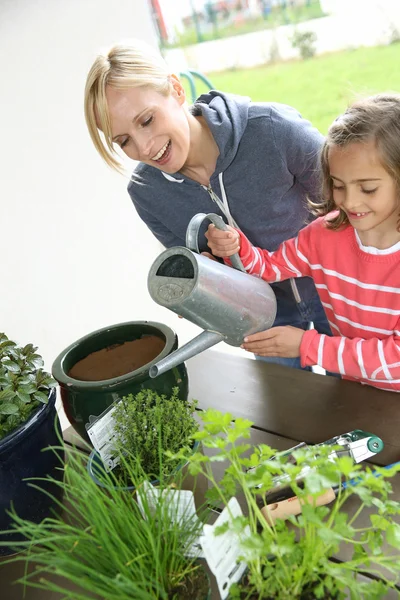 Mother and daughter in garden planting aromatic flowers — Stock Photo, Image