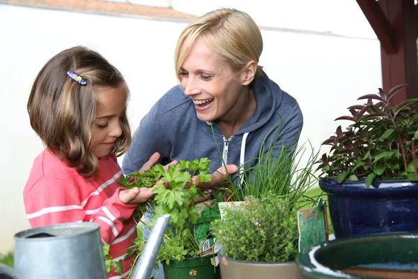 Mutter und Tochter pflanzen aromatische Blumen im Garten — Stockfoto