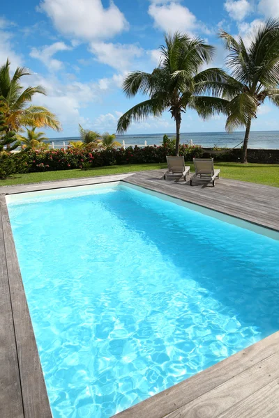 Private swimming pool in tropical area — Stock Image Private swimming pool in tropical area Royalty Free Stock Images