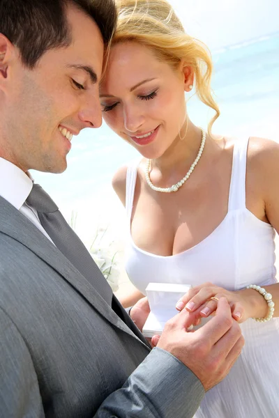 Bride and groom exchanging wedding rings Stock Image