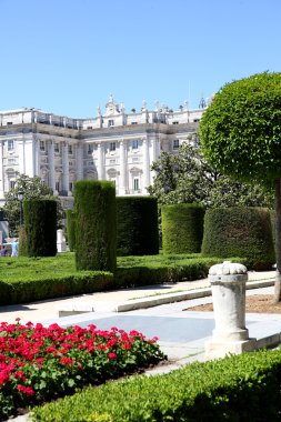 plaza de oriente y palacio real madrid arka planda görünümünü