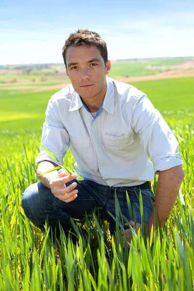 Farmer kneeling in wheat field — Stock Photo, Image