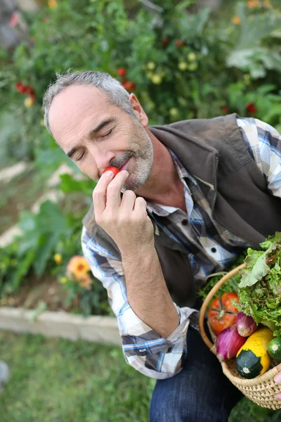 Volwassen man in tuin — Stockfoto