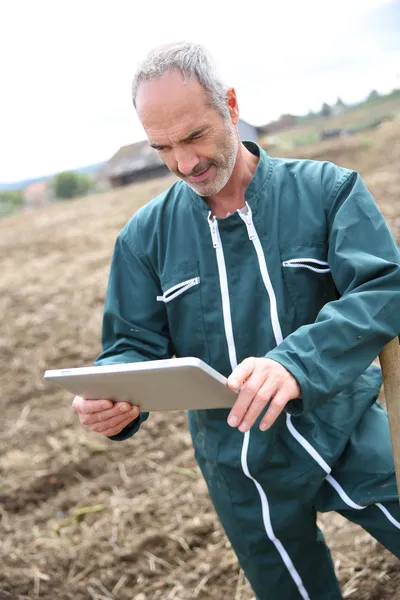 Agricultor em campo usando tablet digital — Fotografia de Stock