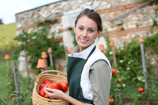 Vrouw bedrijf mand van tomaten — Stockfoto