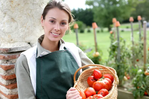 Kobieta kosz gospodarstwa pomidorów — Zdjęcie stockowe