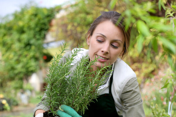 Woman planting aromatic herbs