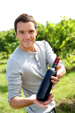şarap şişeleri sunma winegrower