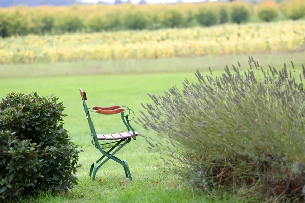 Chair in garden — Stock Photo, Image