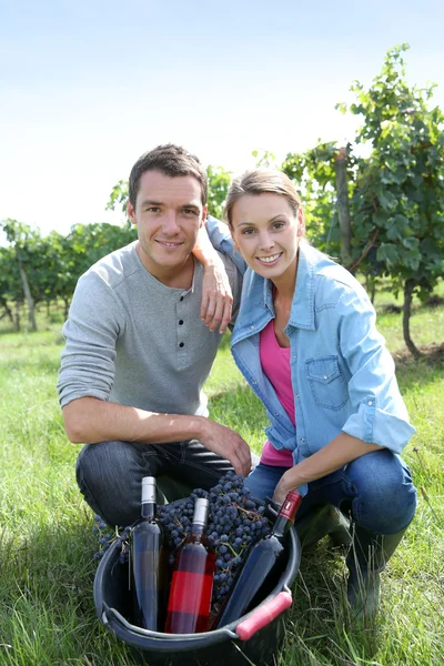 Pareja en viñedo — Foto de Stock