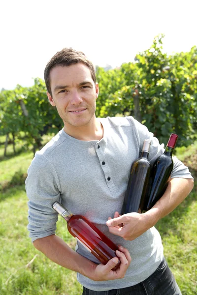 Winegrower presenting wine bottles — Stock Photo, Image