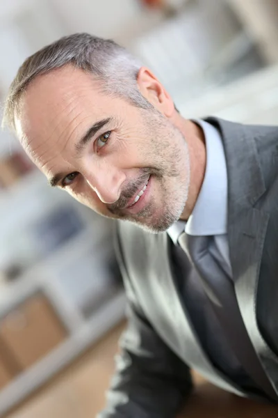 Mature businessman — Stock Photo, Image