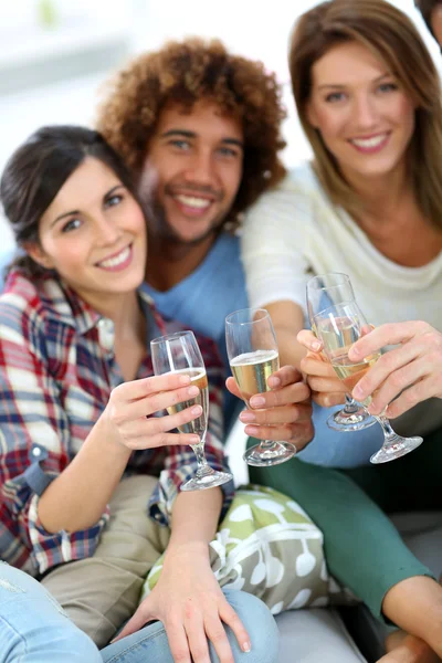 Amigos aplaudindo com vinho — Fotografia de Stock