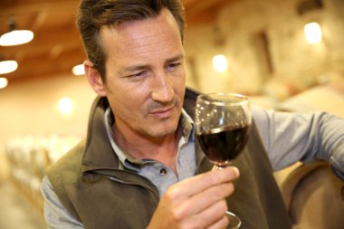 şarap mahzende winegrower