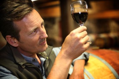 winegrower tutan bir bardak şarap