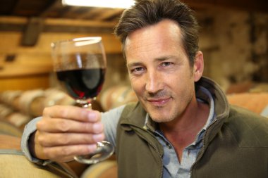winegrower kadeh şarap arıyorsunuz