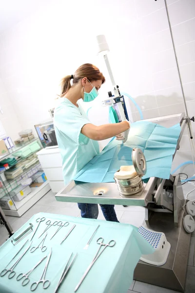 Veteriner cerrahi yapıyor — Stok fotoğraf