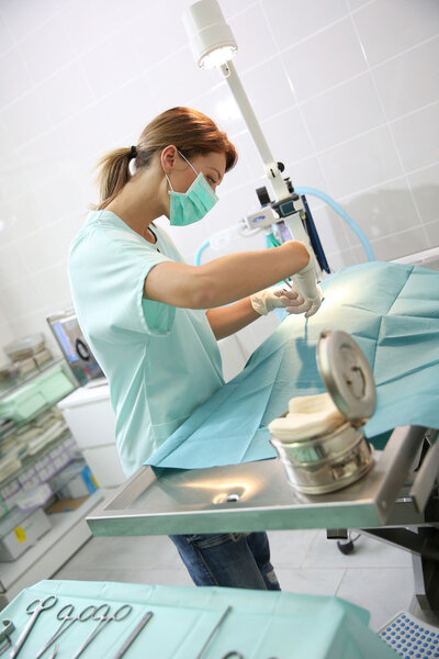 Veterinarian doing surgery