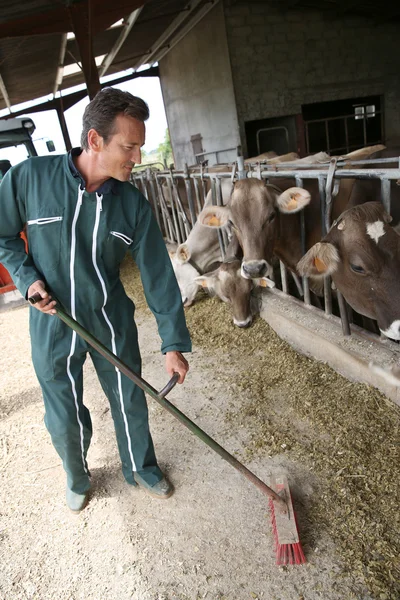 Farmer sweeping floor — Stock Photo, Image