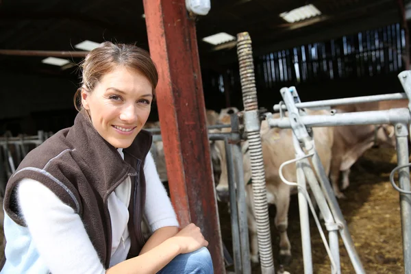 Breeder woman in barn — Stock Photo, Image