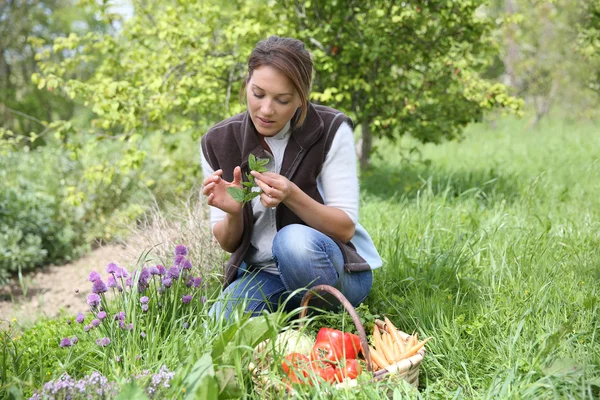 Woman smelling aromatic herbs — Stock Photo, Image