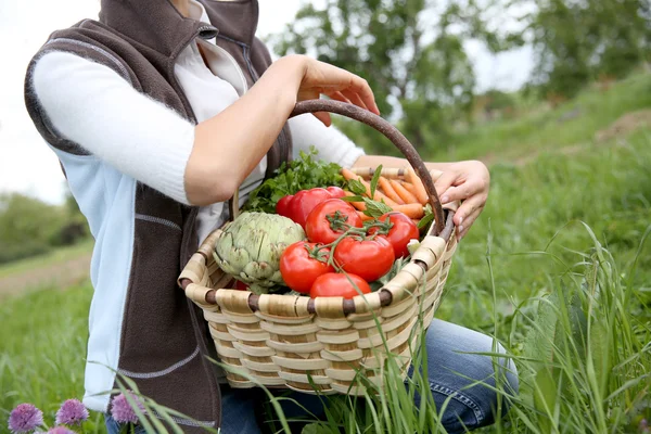 Woman holding basket — Stock Photo, Image