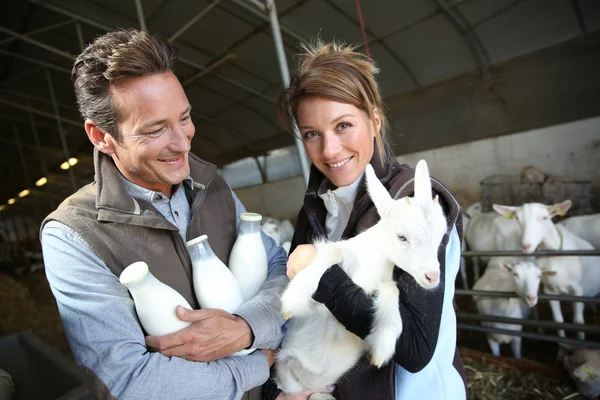 Couple of breeders in barn — Stock Photo, Image