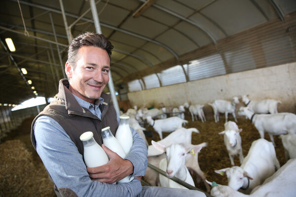 Farmer with milk in barn