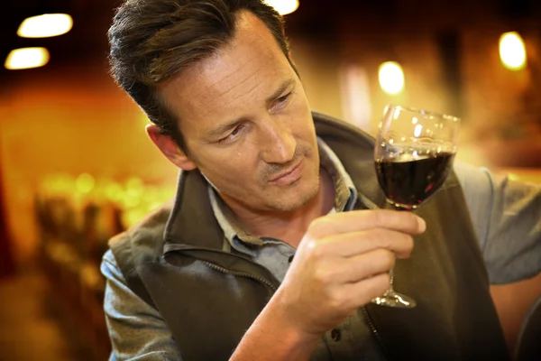 Winegrower holding glass of wine — Stock Photo, Image