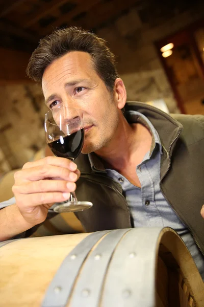 Winegrower smaka vin — Stockfoto