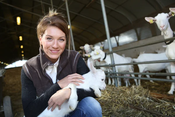 Woman carrying goat in barn Stock Picture