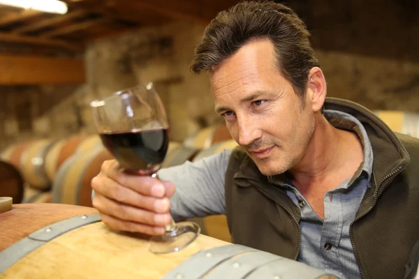 Vigneron regardant un verre de vin Photo De Stock