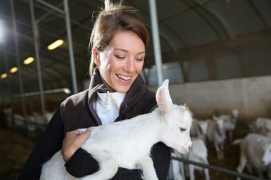 Woman carrying baby goat clipart