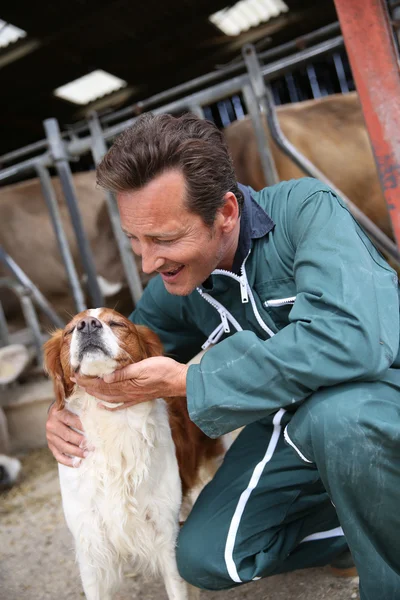 Tenyésztő petting kutya — Stock Fotó