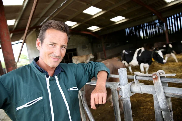 Landwirt lehnte sich in Scheune an Zaun — Stockfoto