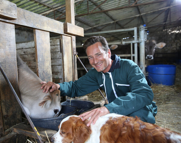 Farmer petting cows in barn