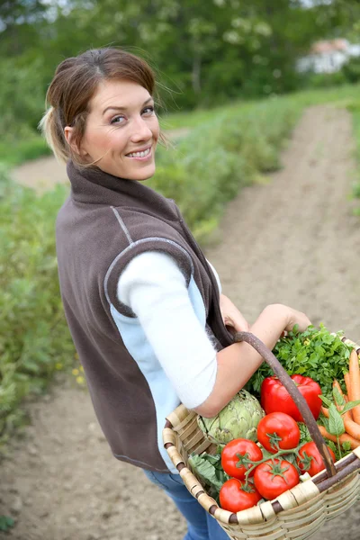 Γυναίκα εκμετάλλευση καλάθι με λαχανικά — Φωτογραφία Αρχείου