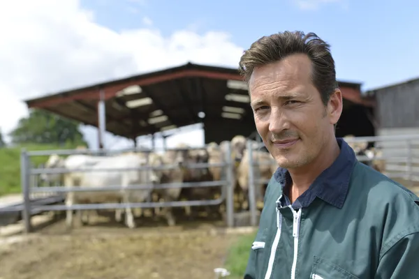 Smiling farmer — Stock Photo, Image