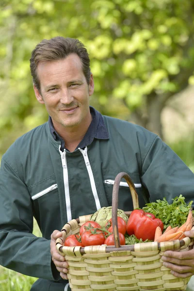 Farmer holding basket of vegetables — Stock Photo, Image