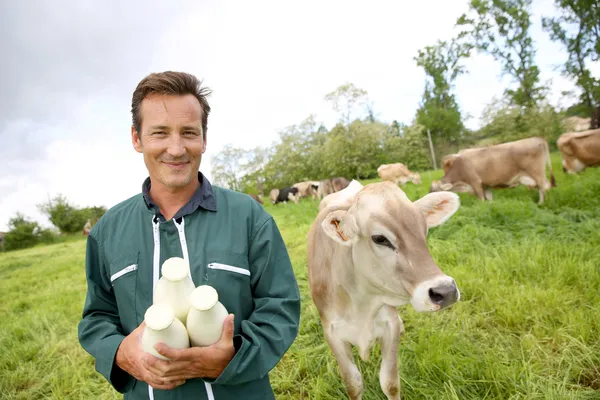 Agricultor sosteniendo botellas de leche Fotos de stock libres de derechos