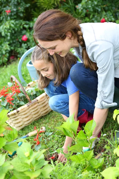 Chica ayudando a madre jardinería —  Fotos de Stock