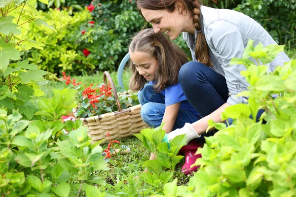 Mädchen hilft Mutter bei der Gartenarbeit — Stockfoto