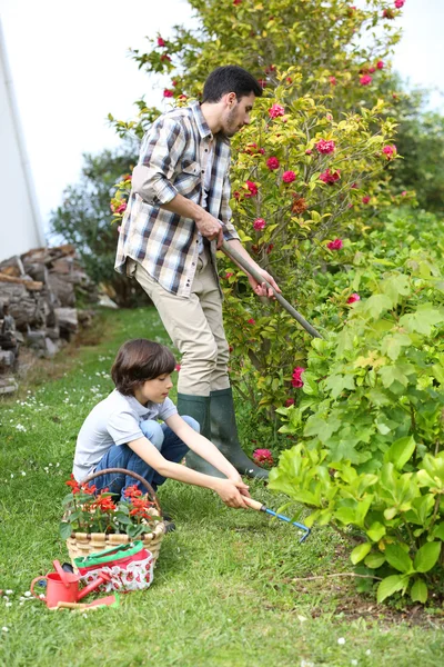 Daddy with son gardening — Stock Photo, Image