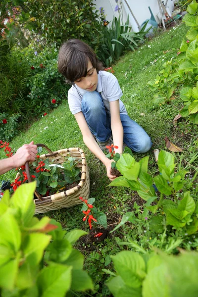 Garçon dans jardin — Photo