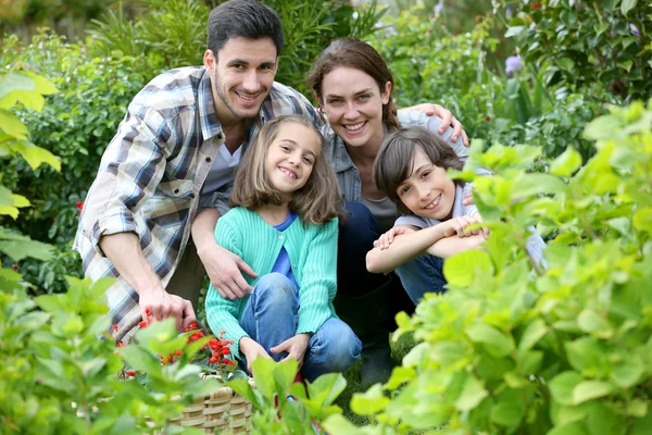 Familjen trädgårdsskötsel — Stockfoto