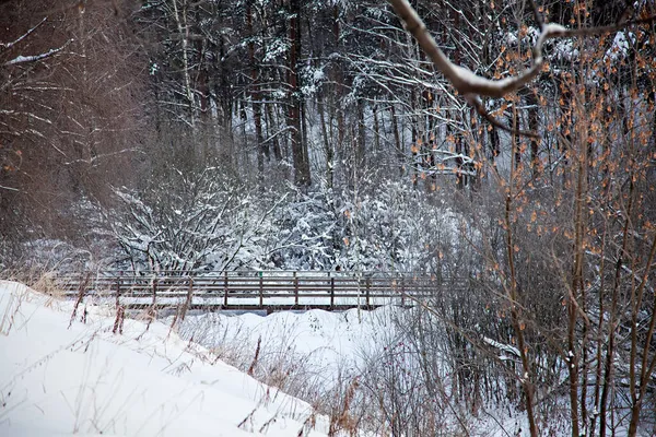 Snow Covered Park Long Wooden Bridge Tall Trees Covered Snow — Stock Photo, Image