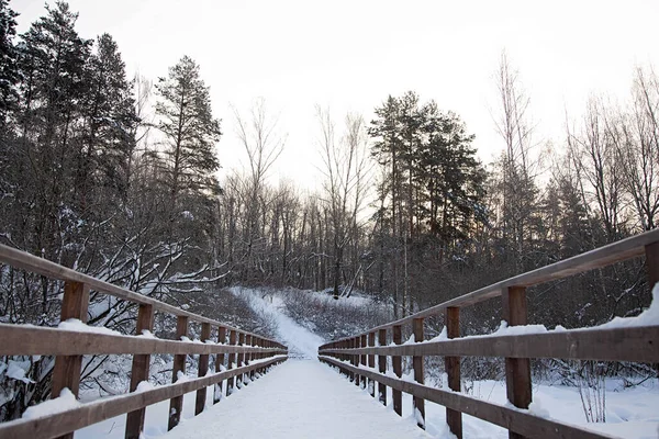 Winter Snow Covered Wooden Bridge Park Perspective Photo Path Bridge — Stock Photo, Image