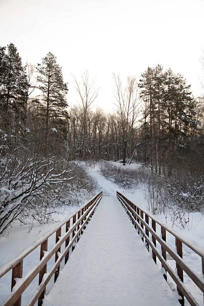 Winter Snow Covered Wooden Bridge Park Perspective Photo Path Bridge — Stock Photo, Image